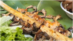 Ếch nướng nguyên con làm nhiều người khiếp vía - đặc sản khó quên của Ninh Thuận