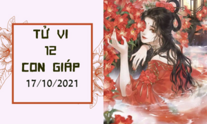 Dự đoán 12 con giáp 17/10: Mão tình duyên không thuận, Thân giữ của rất tốt