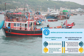 Làm cách nào để chính sách BHXH tự nguyện dần đến với ngư dân Đồ Sơn?