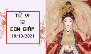 Dự đoán 12 con giáp 18/10: Tỵ có tiểu nhân gài bẫy, Thân phú quý dễ dàng