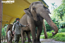 TP.HCM đề xuất hỗ trợ học phí cho học sinh và hỗ trợ Thảo Cầm Viên