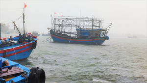 Quảng Ngãi: 4 ngư dân mất tích trên vùng biển Lý Sơn