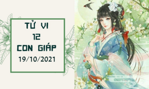 Dự đoán 12 con giáp 19/10: Mùi đừng dây dưa người cũ, Tý chớ hào phóng quá đà