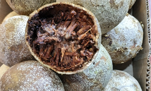 Lạ đời loại quả miền Tây vỏ cứng như đá, bổ ra đen sì nhưng nấu món nào cũng mê