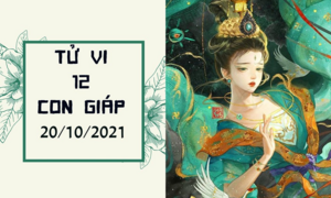 Dự đoán 12 con giáp 20/10: Hợi hư hao tài lộc, Mão vượng phát dễ dàng