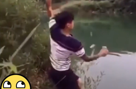 Câu nhầm phải rắn, chàng trai hốt hoảng nhảy xuống sông