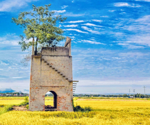 Lò gạch cũ Quảng Nam - Điểm ‘săn’ ảnh đẹp như thiên đường không thể bỏ qua