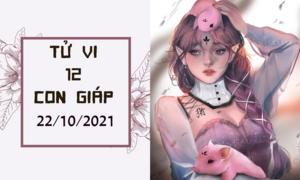 Dự đoán 12 con giáp 22/10: Dần có quý nhân nâng đỡ, Mùi tài lộc khởi sắc
