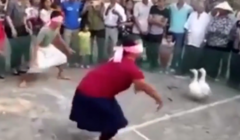 Clip: Trò 'bịt mắt bắt vịt' khiến đám đông cười đau bụng