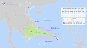 Áp thấp nhiệt đới khả năng mạnh lên thành bão hướng vào Bình Định đến Bình Thuận