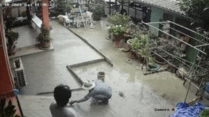 Video: Chú chó chạy trên sàn bê tông mới đổ, 'chọc tức' người thợ xây