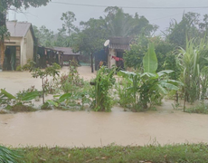 Ảnh: Nước lũ nhấn chìm hàng ngàn hecta lúa, hoa màu ở Đắk Lắk