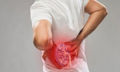 9 cách tự nhiên tốt nhất để bổ thận, tráng dương: Áp dụng sớm thì thận càng khỏe