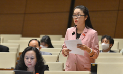 ĐBQH đề nghị giữ nguyên nhạc sĩ là đối tượng được xét tặng danh hiệu NSND, NSƯT