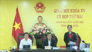 ĐBQH lo ngại hình thành đường dây đa cấp từ kinh doanh bảo hiểm