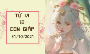 Tử vi 12 con giáp 31/10: Thân làm gì cũng thuận, Hợi cẩn thận tiểu nhân