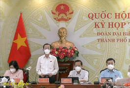 ĐBQH đề xuất Chính phủ sớm can thiệp bình ổn giá xăng dầu