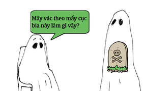 Ma cũng phải tuân thủ luật giao thông