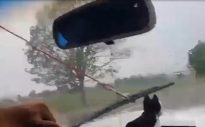 Clip hài hước: Cần gạt nước ô tô chạy bằng cơm