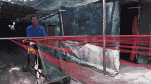 Video: Lạ lùng nghề kéo dây thừng ở TP.HCM