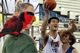 Những góc chụp vô tình khớp đến hoàn hảo tạo thành 'siêu phẩm gây cười'