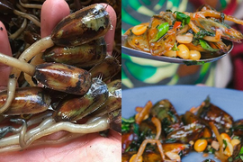 Con cà xỉu: Đặc sản có tên rất 'ngộ' của Hà Tiên nhưng lại khiến người ta mê mẩn