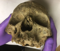 Phát hiện mới gây choáng về 'nàng Eve' 10.000 tuổi ở nước Anh