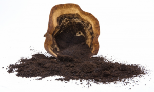 Indonesia phát triển bã cà phê thành vật liệu tạo pin xe điện