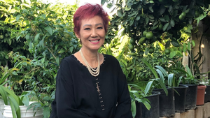 Ca sĩ Kim Anh đột quỵ