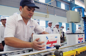 Lợi nhuận của chủ thương hiệu Pin Con Ó lao dốc