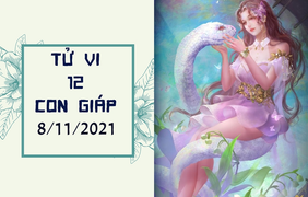 Tử vi 12 con giáp 8/11: Mùi kiêu căng dễ bị lợi dụng, Tỵ tài lộc tăng bất ngờ