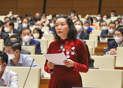 Đại biểu Quốc hội đề nghị nghiên cứu mô hình du lịch mùa thiên tai