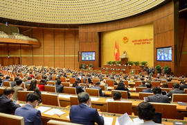 ĐBQH lo ngại tâm lý 'một tiết dạy, trăm mắt nhìn' khi dạy - học trực tuyến