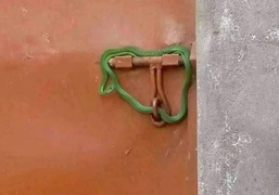 Thả rắn dằn mặt người thuê nhà không chịu trả tiền, ông chủ tự chuốc rắc rối