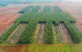 Bộ trưởng GTVT: Khai thác giai đoạn 1 sân bay Long Thành cuối năm 2025