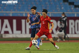 VFF thưởng tuyển Việt Nam nửa tỷ đồng