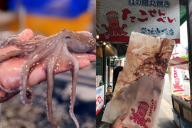 Từ con bạch tuộc sống biến thành bức tranh đẹp ma mị: Món bánh kỳ lạ ở Nhật Bản