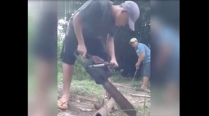 Ông chủ bất lực dạy thợ cách dùng cưa