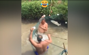 Tối tăm mặt mũi vì bị cá tấn công