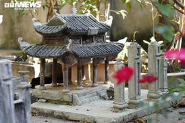 Ảnh: Chàng trai gìn giữ kiến trúc xưa trong mô hình tiểu cảnh