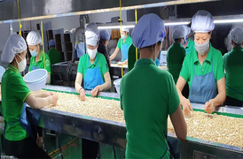 Ông lớn ngành rau quả lỗ nặng, âm sâu dòng tiền