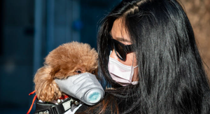 Nhân viên y tế bị kỷ luật vì tiêu hủy chó của người đi cách ly COVID-19