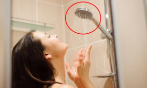 'Kẻ giết người giấu mặt' trong phòng tắm mùa đông