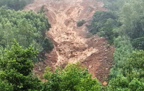 Núi Cấm lại sạt lở, Bình Định khẩn cấp sơ tán dân