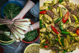 Đặc sản Nam Định mỗi năm chỉ có 1 lần, nhiều người tưởng củ sả nhưng lại sai bét