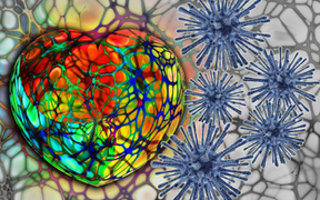 Trầm cảm và lo âu gia tăng trong đại địch COVID-19: Nguy cơ mắc bệnh tim cao