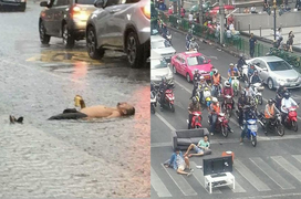 Cạn lời trước màn 'tấu hài' giữa đường sá của hội người 'vô tư' nhất thế giới