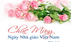 Lời chúc ngày 20/11 hay và ý nghĩa dành tặng thầy cô