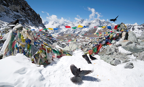 Khám phá ‘nghĩa trang’ lộ thiên khét tiếng ai cũng muốn chinh phục