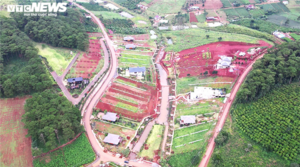 Video: Từ trên cao cảnh đồi chè, cà phê ở Lâm Đồng bị băm nát phân lô, bán nền